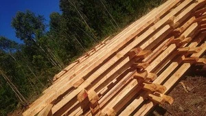 Rosewood Rose wood sawm lumber Raw Material solid laminated board timber wood plank