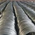 Import sae 1006 hrc hot rolled coil gi wire price per kg galvanized steel wire from China