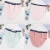 Import Seamless women&#039;s plus size high-elastic comfort and cute underwear from China