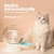Import Self-Dispensing Pet Dog Cat Water Feeder Waterer Dog Water Bowl from China