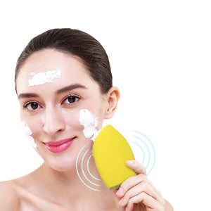 Silicone Electric Waterproof Sonic Facial Cleansing Brush Face Massager Cleaner for Face Skin Care and Massage