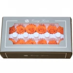 Size3-4cm Preserved Real Natural Long Lasting Eternity Roses Head For DIY Forever Flower Box