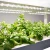 Import Skyplant Vertical Farming Hydroponic Indoor Garden Smart Home Grow System Vegetable Growing Machine from China