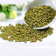 Small Green Gram Vigna Bean Mung Beans