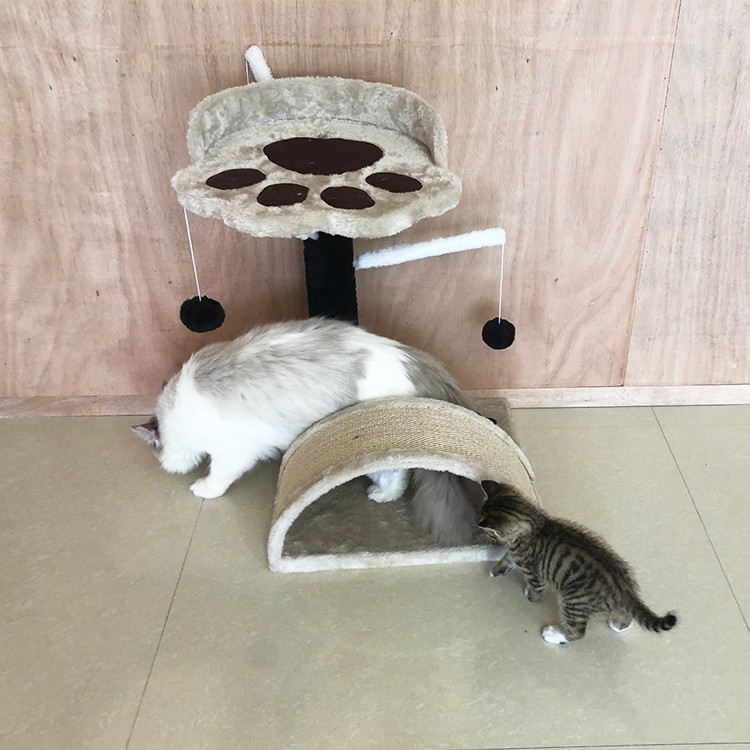 Small Multi Functional Sisal Cat Activity Tree with Platform Cat Tree Scratching Post