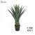 Import Snake plants artificial , types of ornamental plants , artificial outdoor plants from China