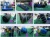 Import SNOW Commercial inflatable bouncer with prices , inflatable bouncy castle with pool , inflatable jumping castle from China