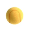 Sponge Tennis Training Soft Balls Practice customize shaped foam ball