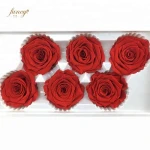 Stage Decorations for Wedding Homemade Thanksgiving Gift Forever Bulk Dried Red Rose Buds