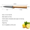 Stainless Steel 4C14Mov Blade Carving Vegetable Fruit Kitchen Paring Knife High Carbon Genesis Forged Utility