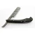 Import stainless steel salon straight razor from China