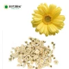 Time Sun Golden grade China Organic Quality Chrysanthemum Flower Tea for Lower Blood Pressure