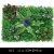 Import Top Quality Artificial Green Grass Wall Panel Backdrop For Wedding Decor from China