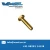 Import Top Quality Customized Brass Fasteners | Bolts/Nuts/Screws/Washers Supplier in india from China