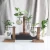 Import Transparent Plant Vases Flower Pot Terrarium Hydroponic Wooden Flower Stands Tabletop Vases For Flowers Home Bonsai Decor from China