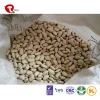 TTN China Product Kidney Bean Price Of White Kidney Beans