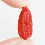 USDA organic dried goji berry 280 count per 50g factory direct sales natural dried fruit popular Chinese goji