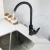 Import Utility Hot Selling Trade Kitchen Sink Water Mixer Type Black Plastic Faucet from China