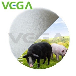VEGA  API raw material Florfenicol Powder Veterinary Medicine for Poultry