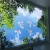 Import wall paper style decorative pvc film for stretch ceiling DIY from China