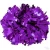 Import Wetlook Purple Cheer Matte Solid Color Cheering Fun Stick Handle Cheer Pom Poms from China