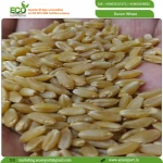 Wheat Grain,Soft ,Milling Wheat, Durum Wheat