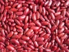 White beans chinese kidney beans