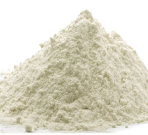 White Egg Powder/Egg Product