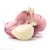 Import Wholesale 2020 new fresh garlic supplier normal white garlic from Brazil