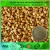 Import wholesale bulk buckwheat flour/ best price Buckwheat seed from China