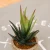 Import Wholesale cheap mini artificial plants,artificial succulent plants from China
