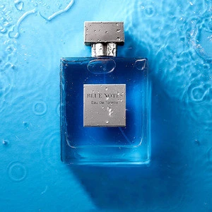 Wholesale China brand 100ml long lasting fantasy body spray for man ocean perfume