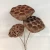 Import wholesale dried Ornamental plants real natural dried seedpod of the lotus for home decoration from China