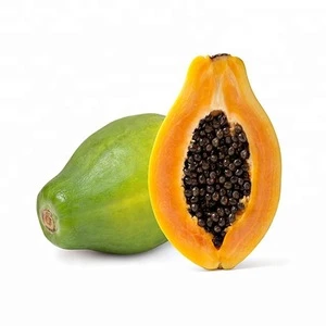 Wholesale Fresh Papaya / Fresh Green Papaya / Best Quality Of Papaya For Sale