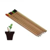 Wholesale Logo Customized Cheap Creative Plantable Seed Pencils