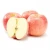 Import Wholesale Product Top Selling Fresh Red Fuji Apple Fruits Succulent Organic Apple Fruit from China