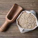 Wholesale Top Grade White Best Indian Sorghum at Low Price