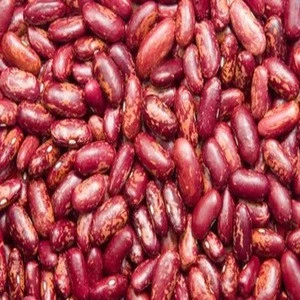 wholesale Ukraine Light Speckled Kidney beans (LSKB) Pinto beans/Sugar beans