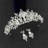 Wholesale wedding tiaras and crowns Customize gemstones earrings and tiaras wedding jewerly set