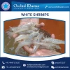 Widely Selling Seafood Frozen White Vannamei Shrimps Available at Best Price