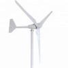 Wind Power Generator Type Wind Turbine 1000W 24V 48V DC horizontal windmill