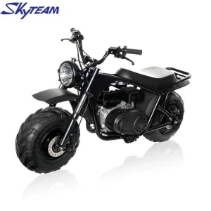 SKYTEAM two wheel 220cc Gas powered Mini Bike Kid Gas Dirt Bike go-karts portable engine