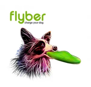 Flyber — the first double-sided flying disk for dogs and their owners!