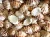 Import Dried Crab Shell from Vietnam