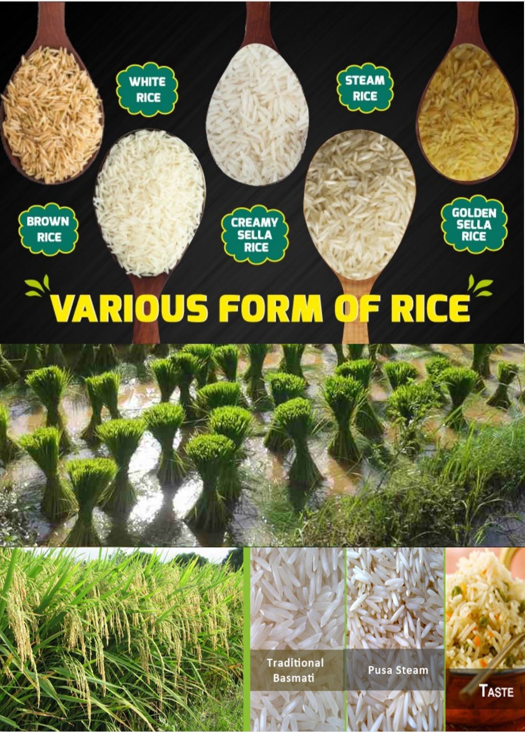 Buy Rice from Jalowtrade Unipessoal Lda, Portugal | Tradewheel.com