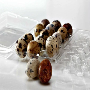 Fresh quail eggs wholesale