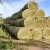 Import Premium Grade Alfafa Hay for Animal Feeding Stuff Alfalfa / Alfalfa Hay farm price from South Africa