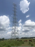 Electrical Transmission Steel Tower