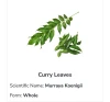 Curry Leaves