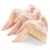 Import Brazil Frozen Chicken feet/Chicken paws from Canada
